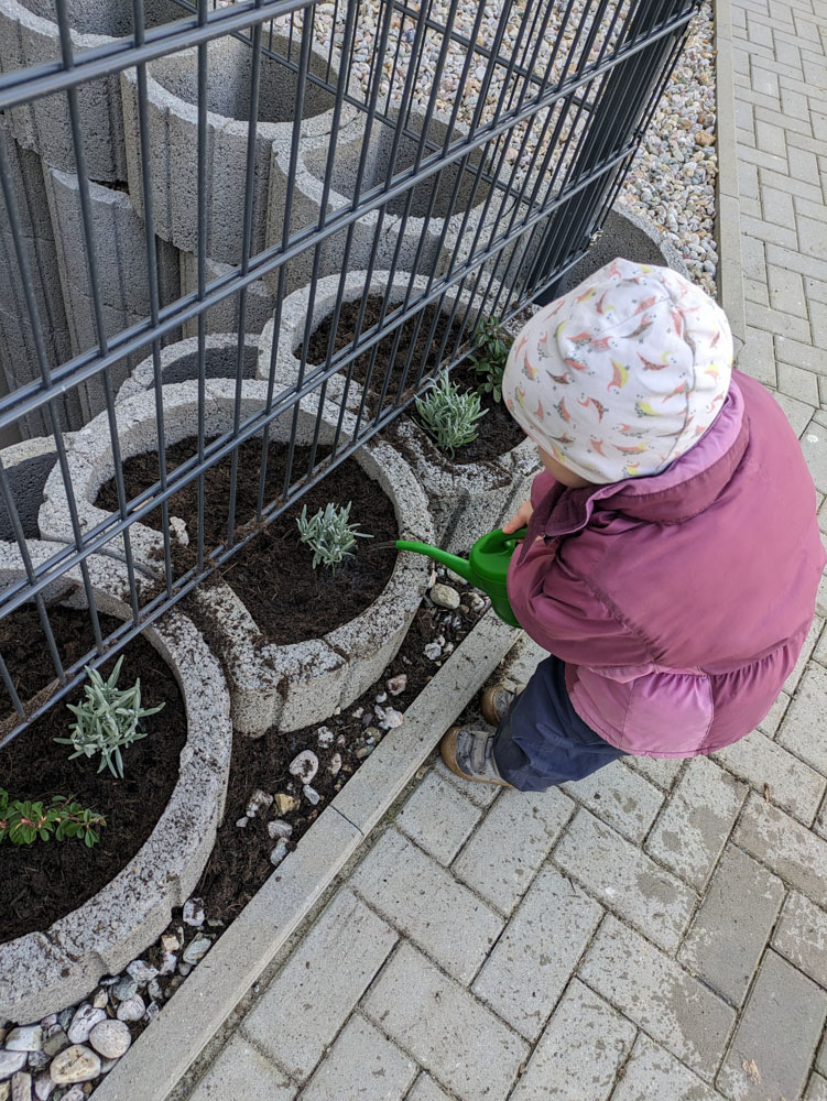 Ein kleines Mädchen betrachtet Pflanzen in einem runden Beet